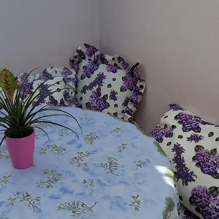 Mini Apartment Petra - Rooms Purple & Green With Kitchen And Garden Дубровник Екстер'єр фото